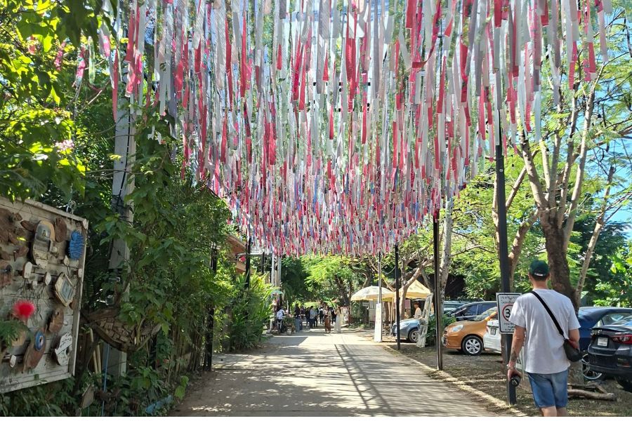 Chamchaa Market Chiang Mai