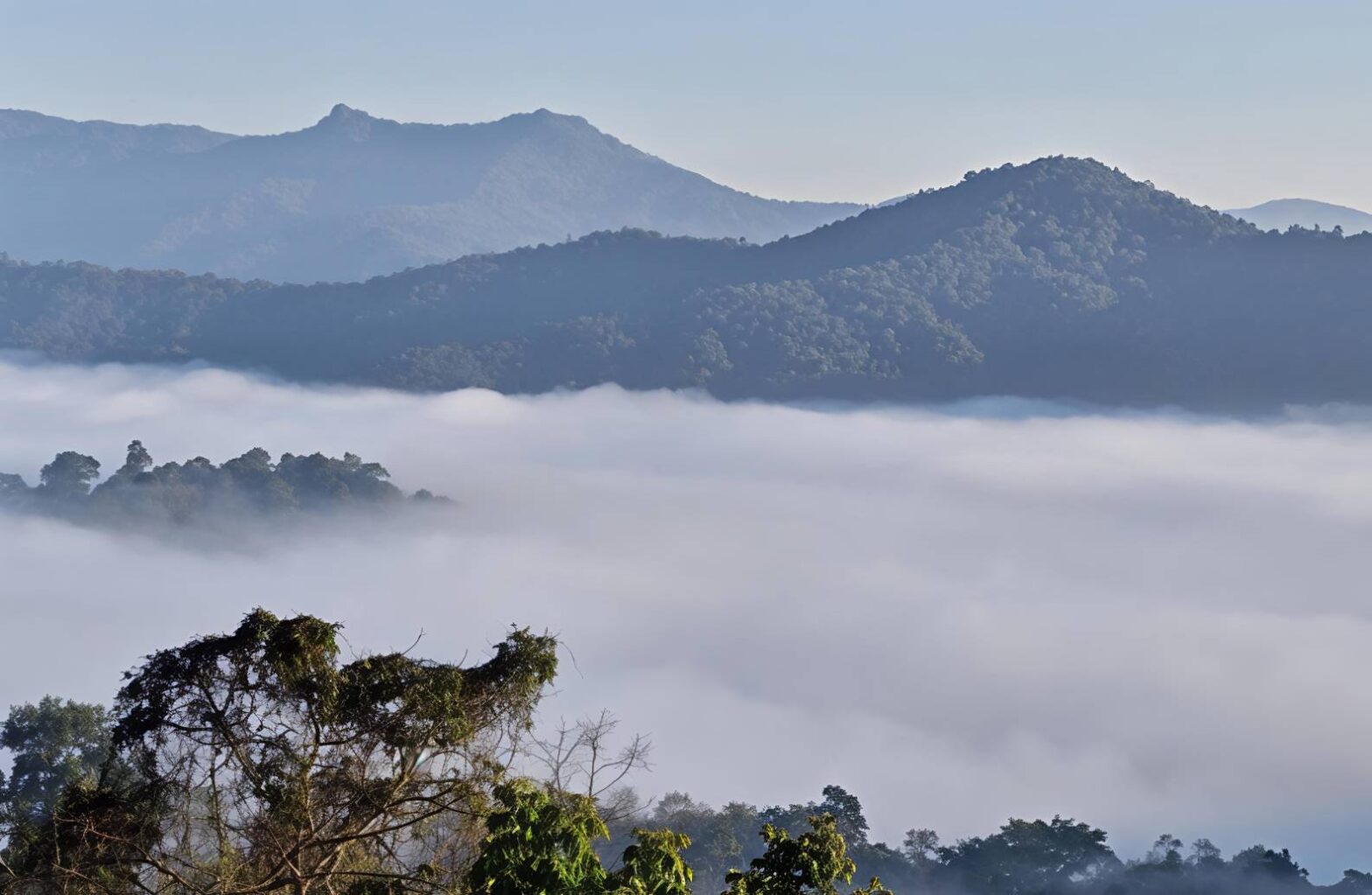 Chiang mai