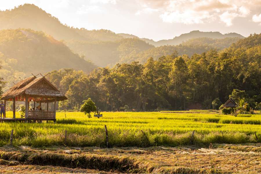 pai mae hong son