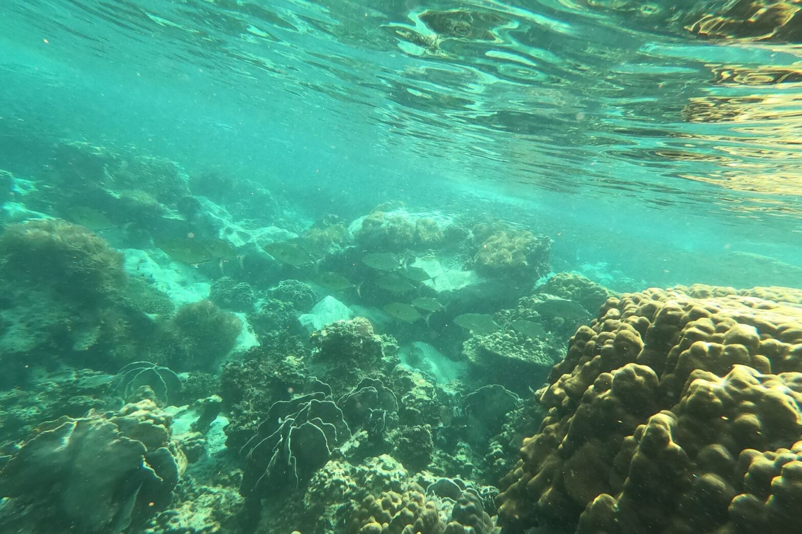 Koh Chang
