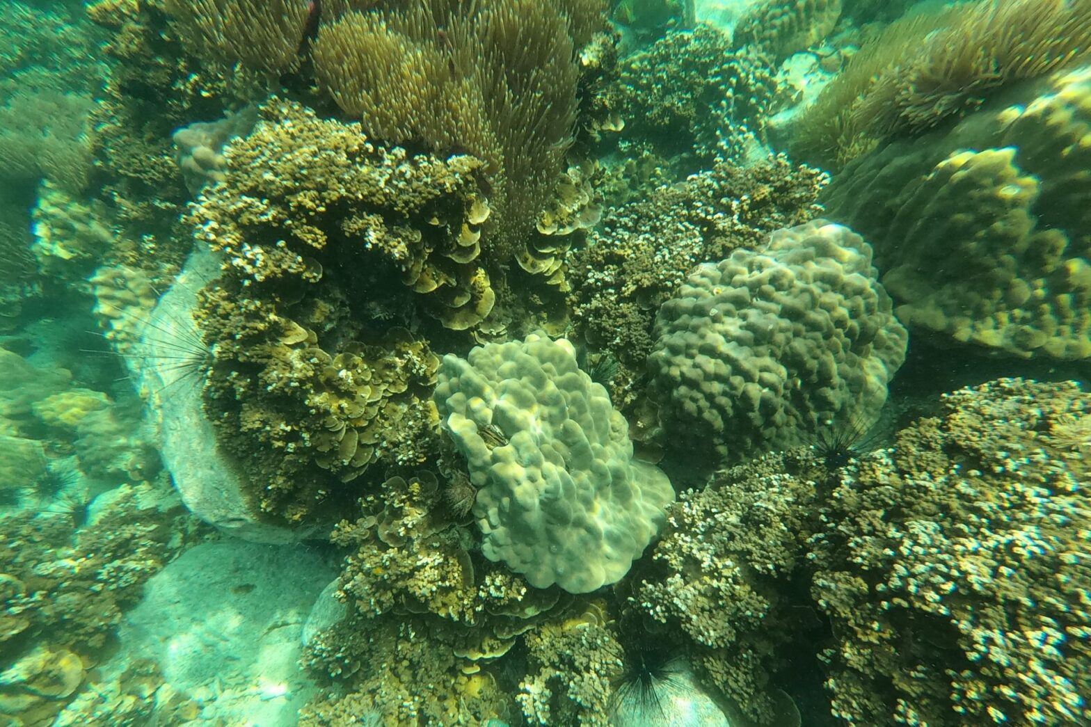 Koh Chang